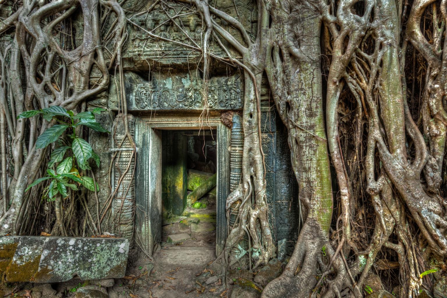 Ta Prohm